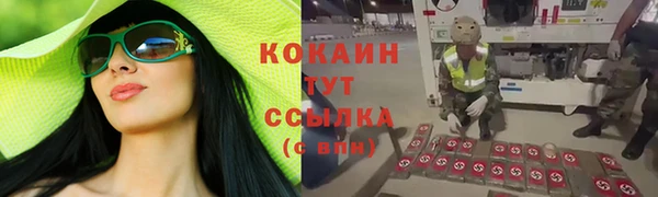 2c-b Сафоново