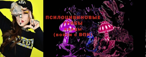 МДПВ Сатка