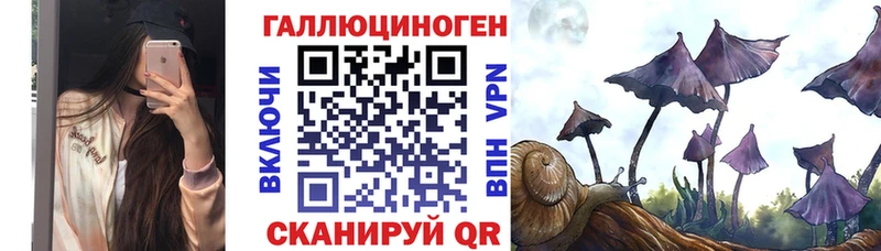 Псилоцибиновые грибы прущие грибы  Купить закладки  Чердынь 